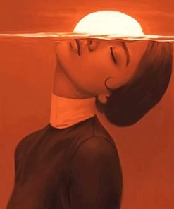 Falling From Sky NEW Paint By Numbers