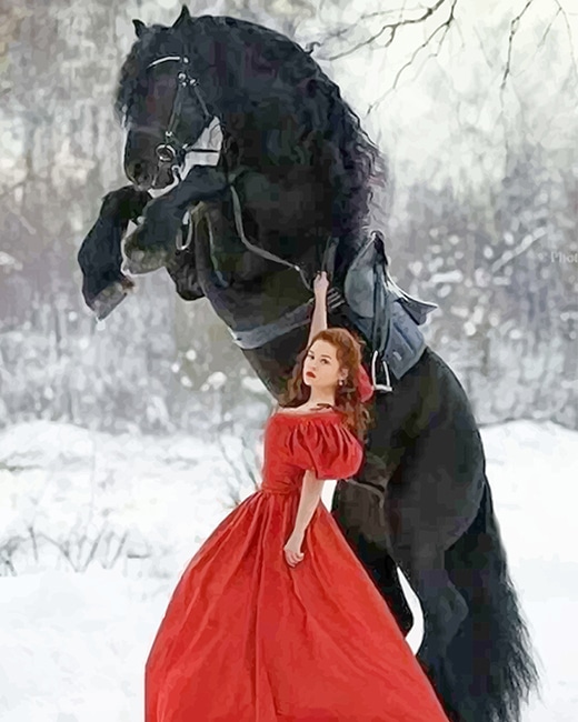 Girl With Black Horse Paint By Numbers