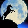 Moon Horse Silhouette Paint By Numbers