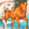 White And Brown Horses Paint By Numbers