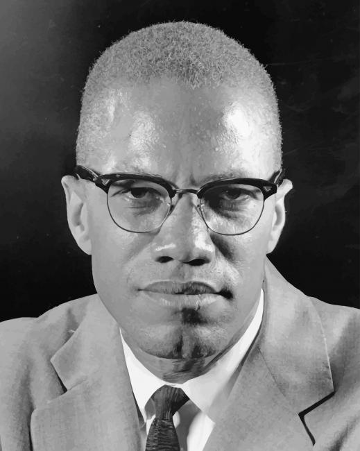 Black And White Malcolm X Paint By Numbers