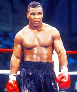 Mike Tyson Paint By Numbers
