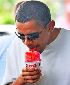 Obama Eating Ice Cream Paint By Numbers