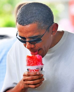 Obama Eating Ice Cream Paint By Numbers