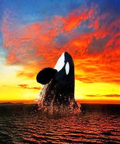 Orca At Sunset Paint By Numbers