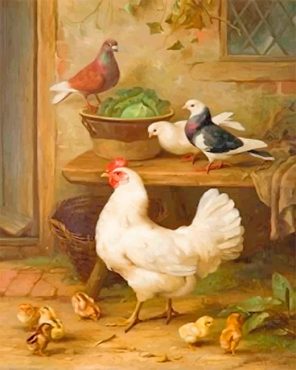 Pigeons And Chicken Paint By Numbers