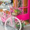 Pink Bike And Flowers Paint By Numbers