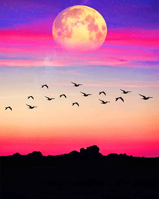 Sunset Birds Flock Paint By Numbers