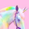 Rainbow Unicorn Paint By Numbers