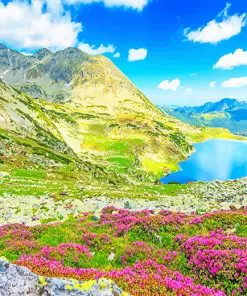 Retezat National Park Paint By Numbers