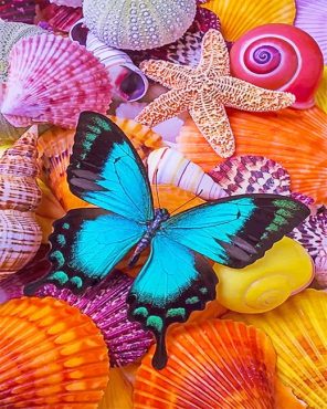 Butterfly On Seashells Paint By Numbers