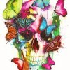 Skull And Butterflies Paint By Numbers