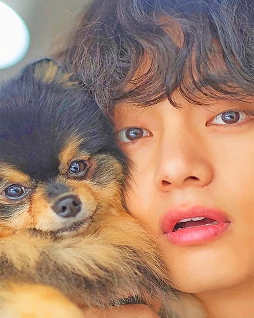 Tae And Yeontan - NEW Paint By Number - Numeral Paint