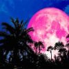 Pink Full Moon Paint By Numbers
