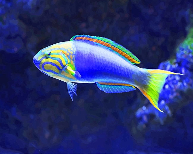 Tropical Blue Fish Paint By Numbers