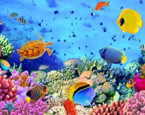 Underwater World Paint By Numbers
