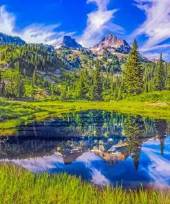 Mount Rainier National Park Paint By Numbers