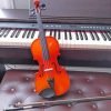 Violin With Piano Paint By Numbers