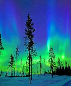 Aurora Trees Silhouette Paint By Numbers