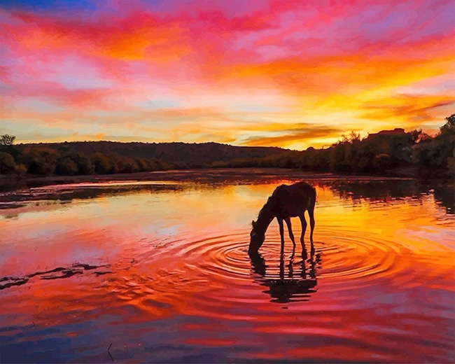 Sunset Horse Silhouette Paint By Numbers