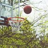 Ball Into The Hoop Paint By Numbers