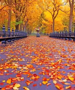Beautiful Autumn Leaves NEW Paint By Numbers