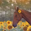 Brown Horse And Sunflower Paint By Numbers
