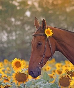 Brown Horse And Sunflower Paint By Numbers