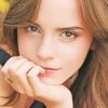 Emma Watson Paint By Numbers