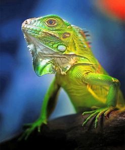 Green Iguana Paint By Numbers