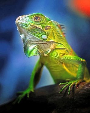 Green Iguana Paint By Numbers