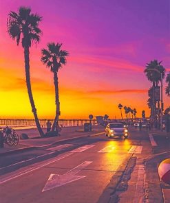 California Sunset Palms Paint By Numbers
