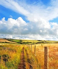 Countryside Field Paint By Numbers