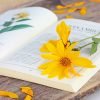 Yellow Flowers On Book Paint By Numbers