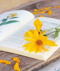 Yellow Flowers On Book Paint By Numbers