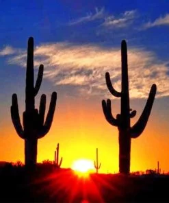 Sunset Cactus Silhouette Paint By Numbers