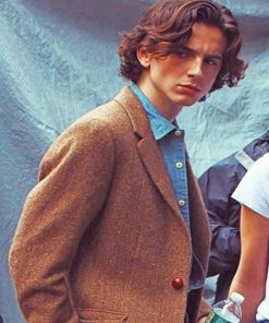 Classy Timothee Chalamet Paint By Numbers