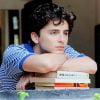 Handsome Timothee Chalamet Paint By Numbers