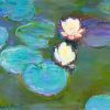 Claude Monet Waterlilies Paint By Numbers