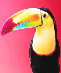 Toco Toucan Paint By Numbers