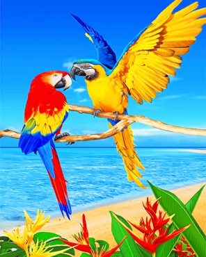 Tropical Macaws Paint By Numbers
