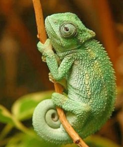 Green Chameleon Paint By Numbers