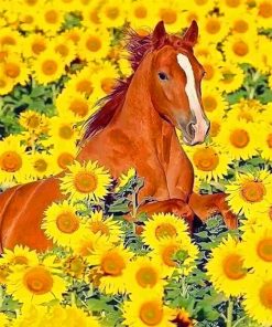 Horse And Sunflowers Paint By Numbers