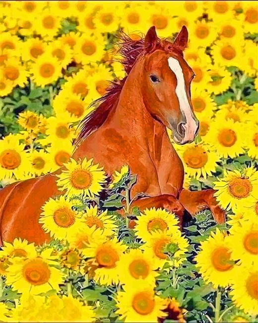 Horse And Sunflowers Paint By Numbers