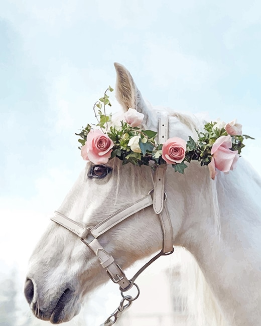 Horse And Flowers Crown Paint By Numbers