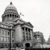 Idaho State Capitol Paint By Numbers