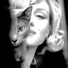Marilyn Monroe And Cat Paint By Numbers