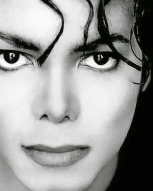 Micheal Jackson Black and White NEW Paint By Numbers - Numeral Paint Kit