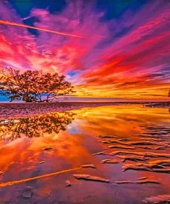 Nudgee Beach Sunset Paint By Numbers