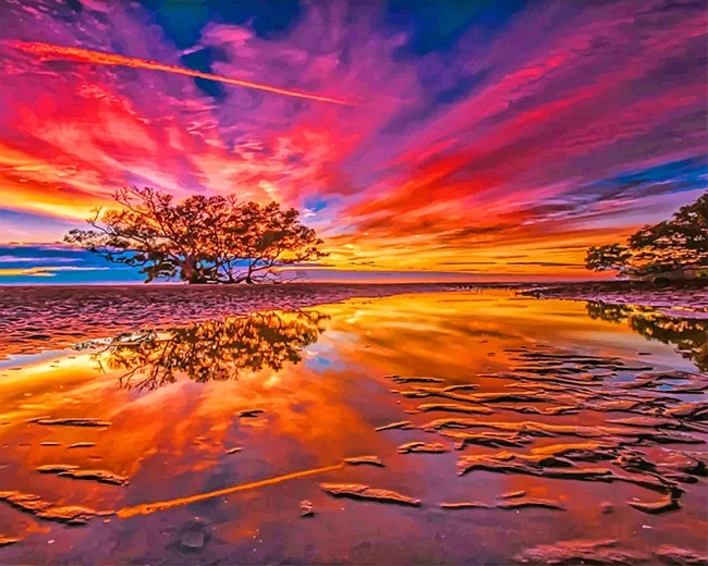 Nudgee Beach Sunset Paint By Numbers